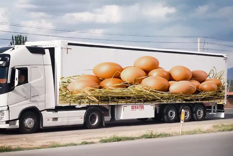        نظارت دامپزشکی کاشمر بر خروج بیش از 1 هزار و 730 تن تخم مرغ خوراکی مازاد بر نیاز این شهرستان